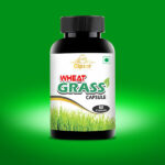 Wheat Grass Capsule